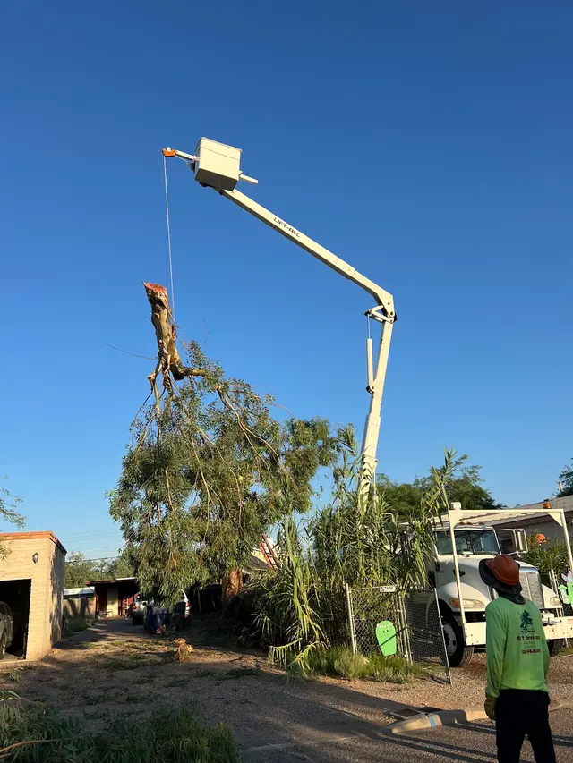 Q&T Tree Services — customer photo 5
