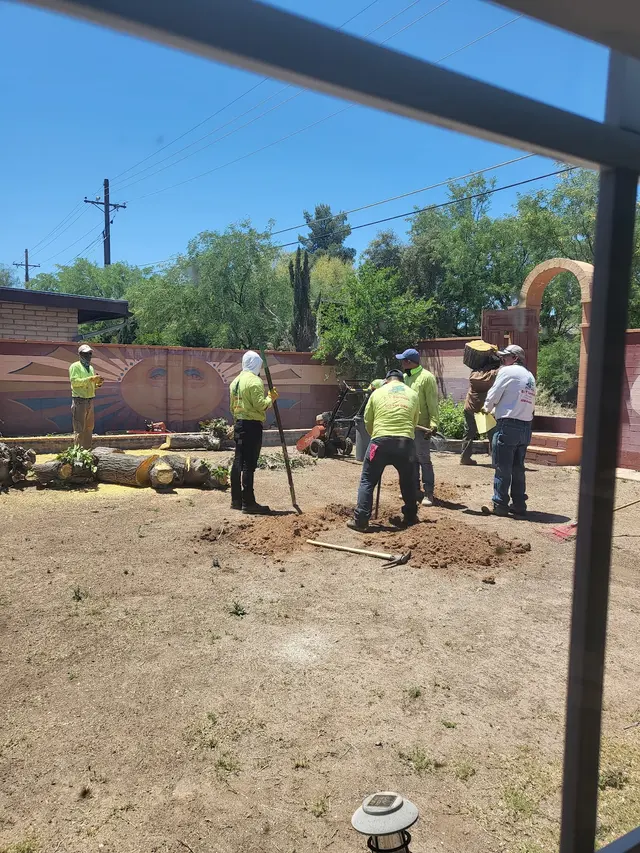 Q&T Tree Services — customer photo 11