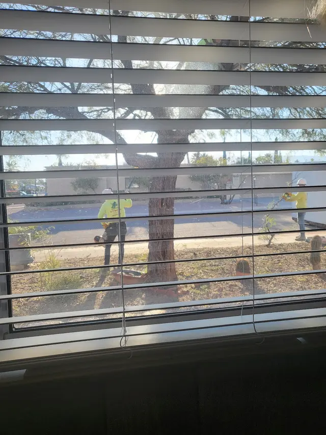 Q&T Tree Services — customer photo 8