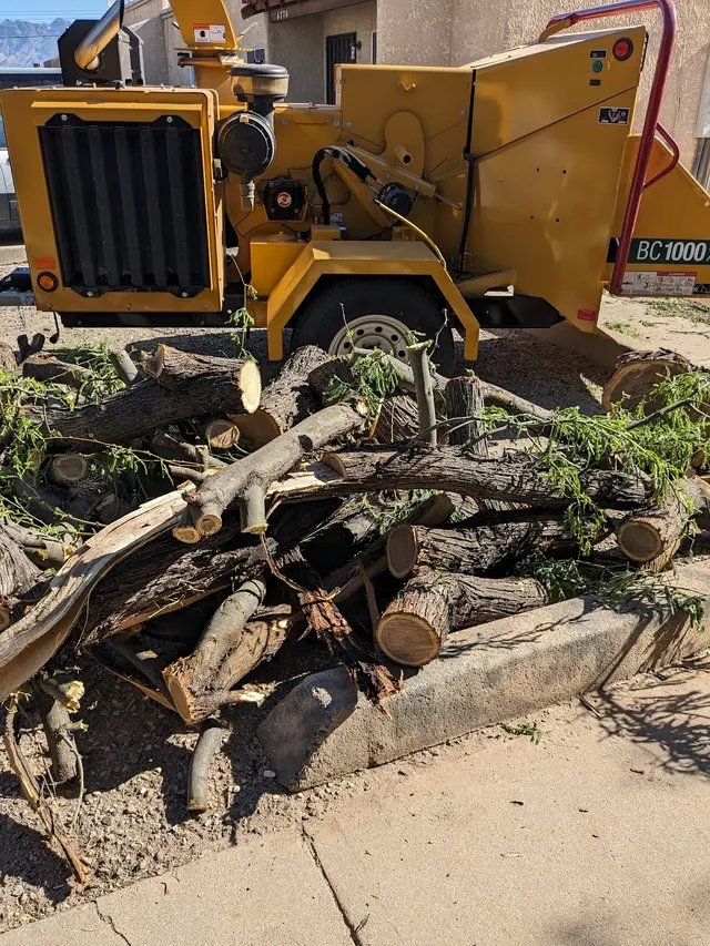 Q&T Tree Services — customer photo 10