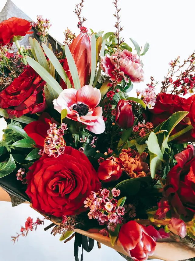 REVEL- plants, flowers & goods — photo from the business 12