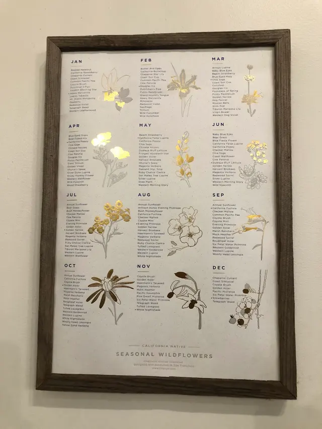 Customer photo of work by REVEL- plants, flowers & goods, from Grace Lin's review