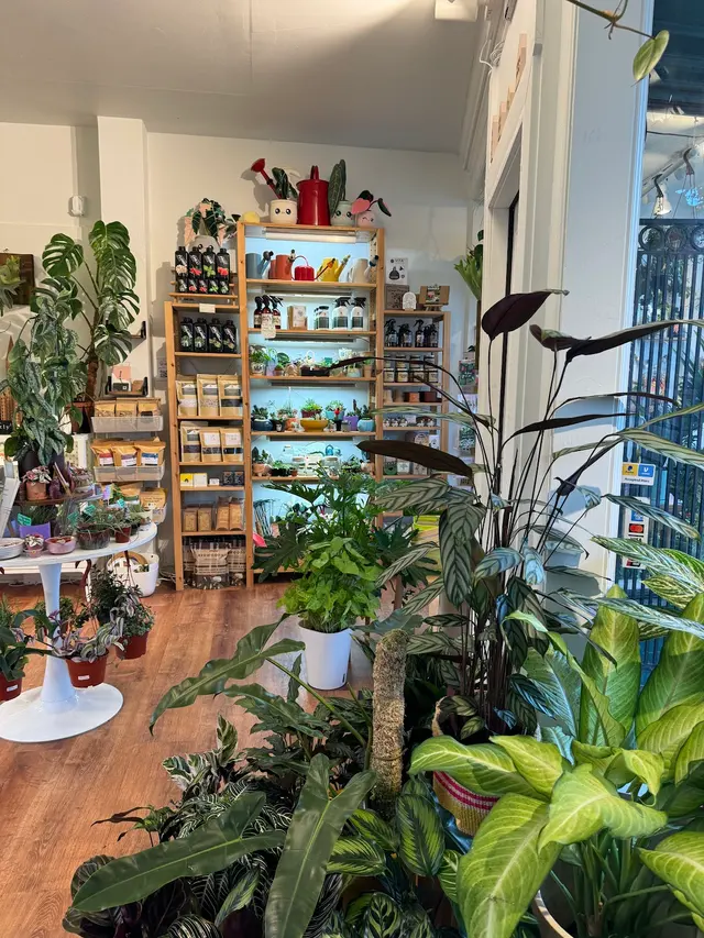 The Plant Lady SF — customer photo 2