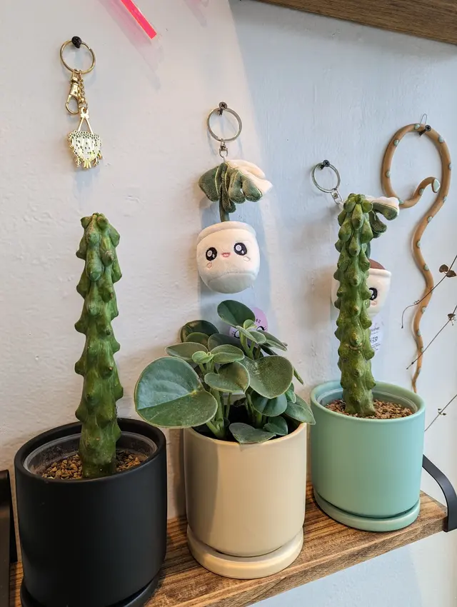 The Plant Lady SF — customer photo 8