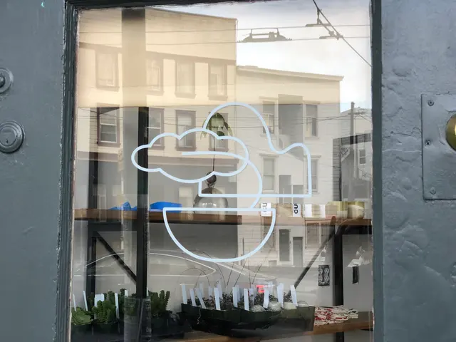 Cloud-Hidden Plants — photo from the business 2