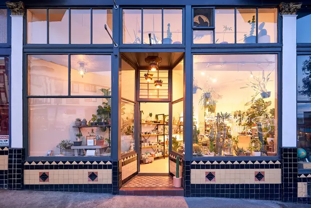 Cloud-Hidden Plants — photo from the business 1