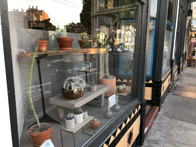 Cloud-Hidden Plants — photo from the business 12