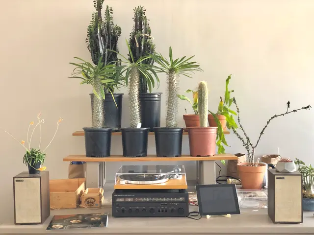 Cloud-Hidden Plants — photo from the business 11