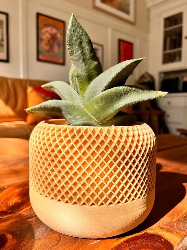 Cloud-Hidden Plants — customer photo 8
