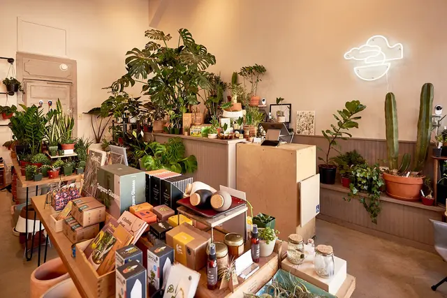 Cloud-Hidden Plants — photo from the business 3