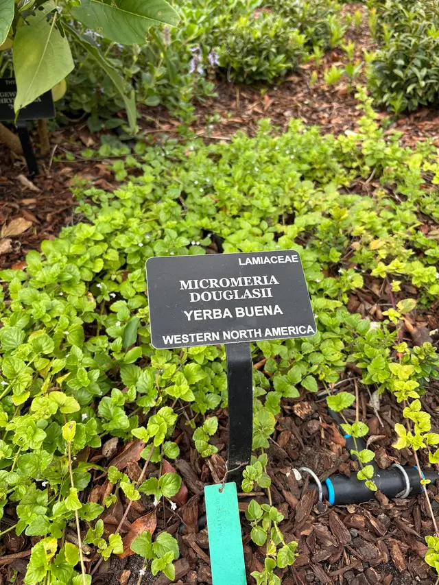 San Francisco Botanical Garden — customer photo 9
