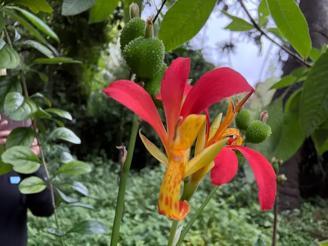 San Francisco Botanical Garden — customer photo 7