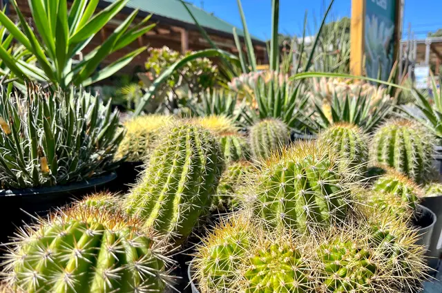 Sloat Garden Center — photo from the business 4