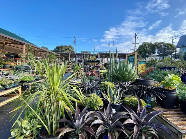 Sloat Garden Center — photo from the business 6