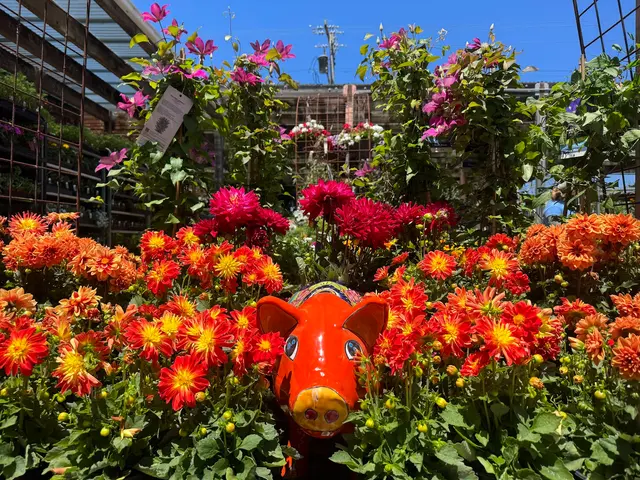 Sloat Garden Center — photo from the business 11