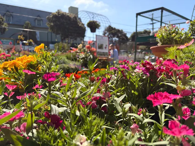 Sloat Garden Center — photo from the business 12
