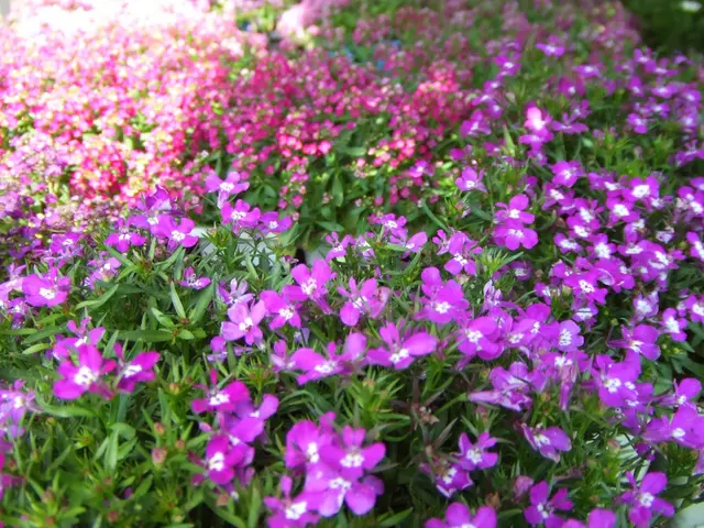 Sloat Garden Center — photo from the business 2