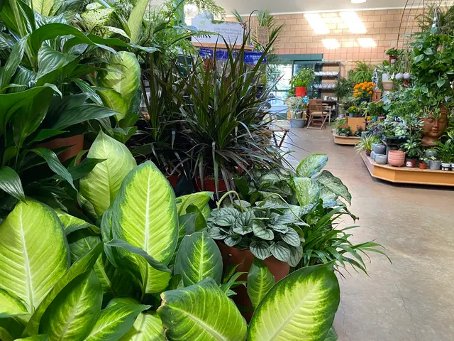 Sloat Garden Center — photo from the business 3