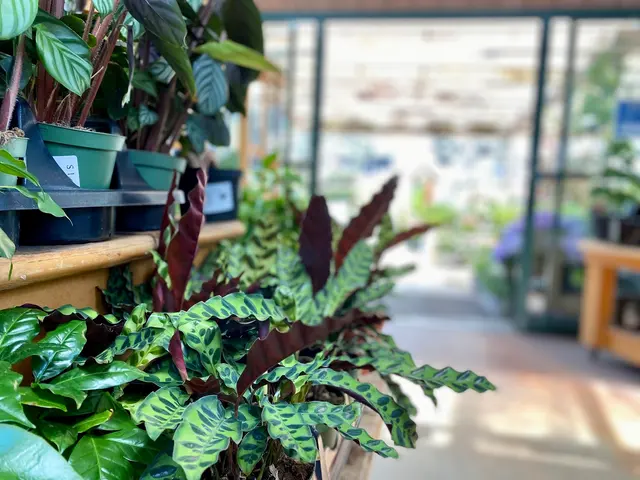 Sloat Garden Center — photo from the business 5