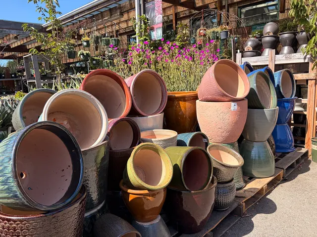 Sloat Garden Center — photo from the business 7