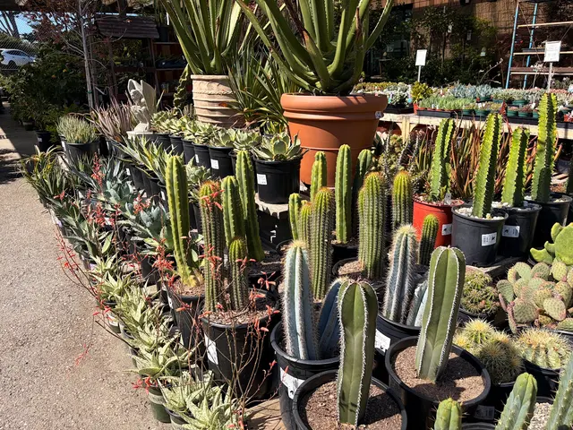 Sloat Garden Center — photo from the business 10