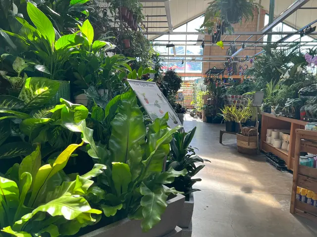 Sloat Garden Center — photo from the business 8