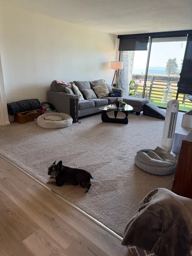 Milan Cleaning Company — customer photo 5