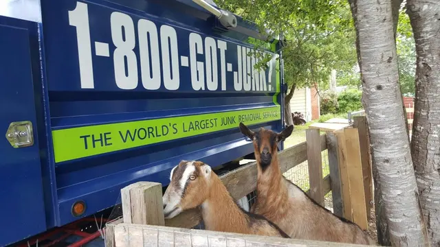 1-800-GOT-JUNK? Milwaukee — photo from the business 8