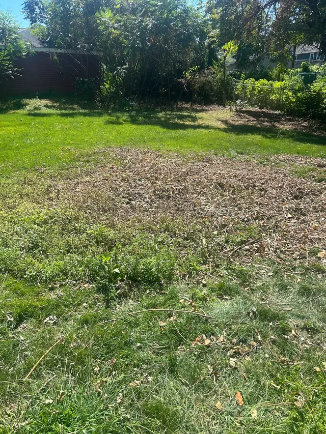 LoadUp Junk Removal — customer photo 9