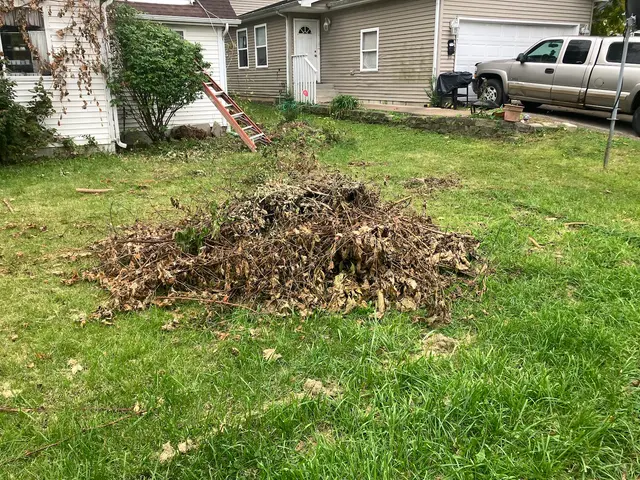 LoadUp Junk Removal — customer photo 5