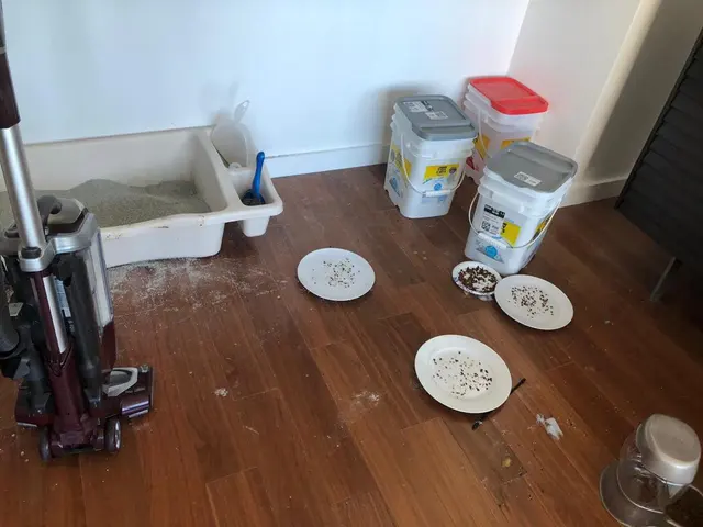 WeClean LLC — photo from the business 12
