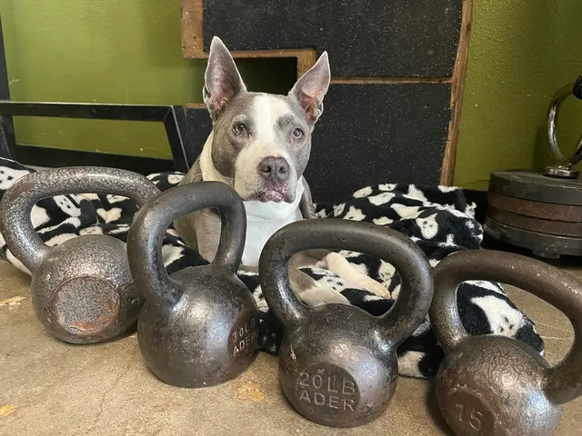 Ronin Fitness of Richardson — photo from the business 12