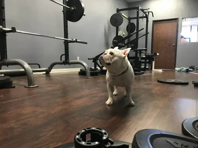 Ronin Fitness of Richardson — photo from the business 9