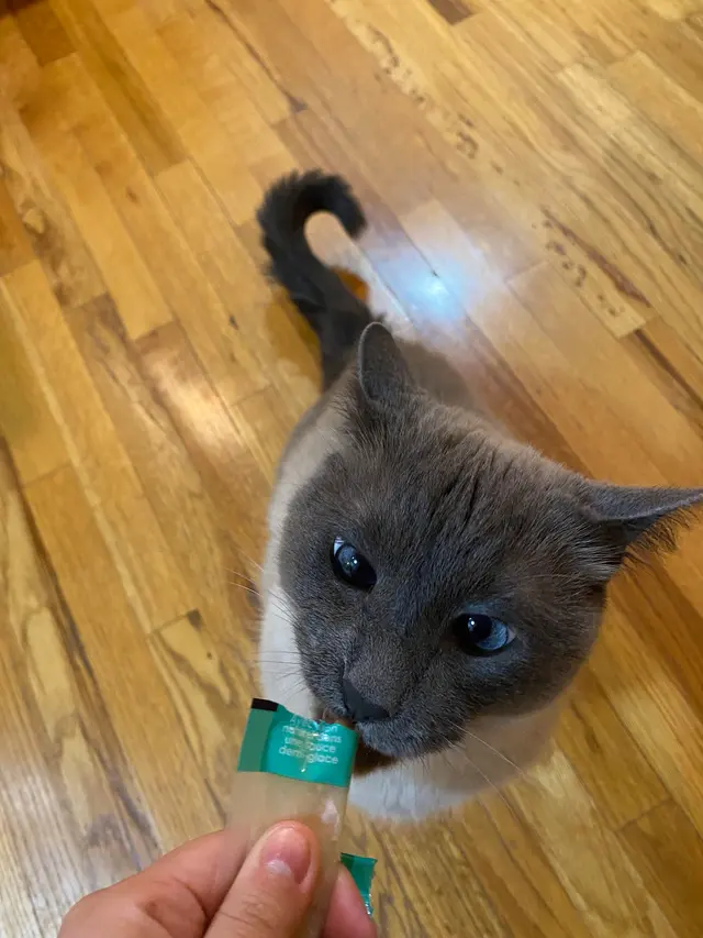 Highland Park Pet Hospital — customer photo 10