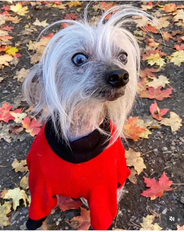 Highland Park Pet Hospital — customer photo 4