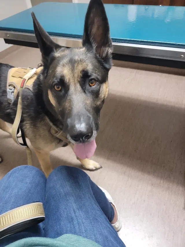 West Lake Animal Hospital — customer photo 5