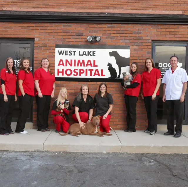 West Lake Animal Hospital — photo from the business 1