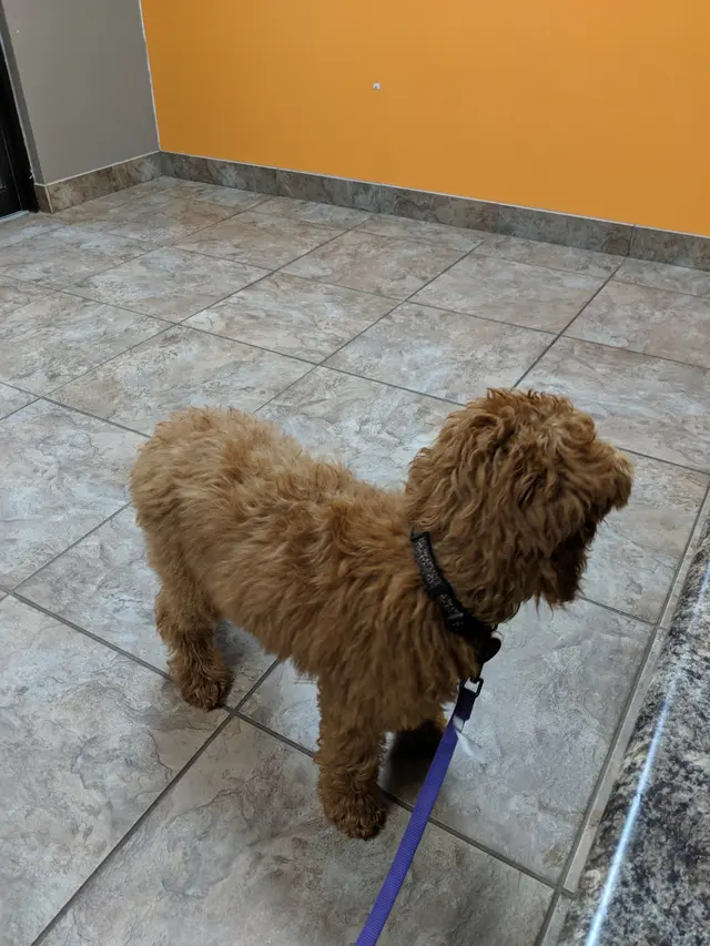 West Lake Animal Hospital — customer photo 2