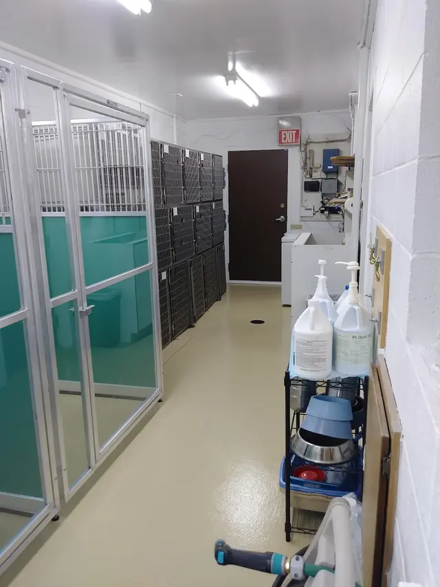 West Lake Animal Hospital — photo from the business 10