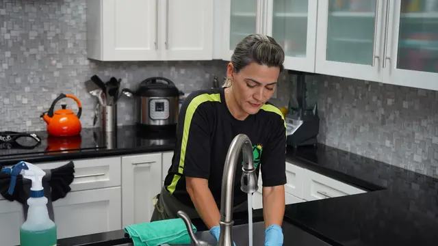 GreenTerra Cleaning Service — photo from the business 3