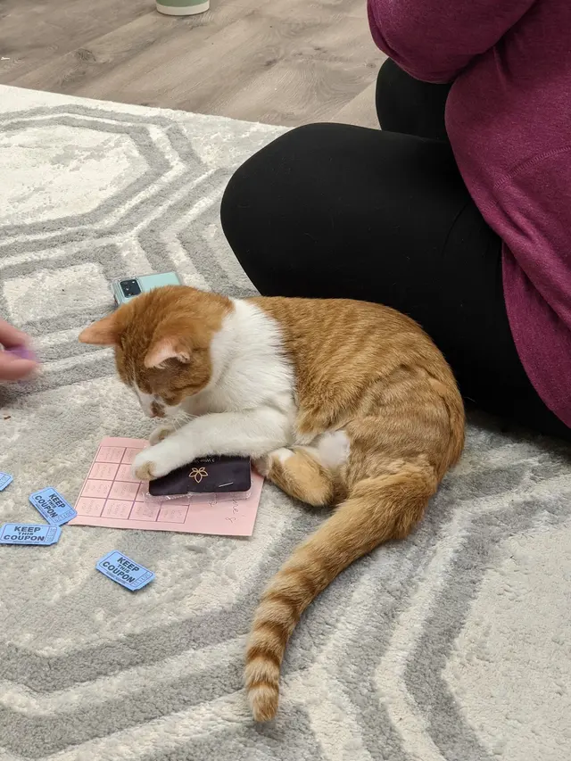 Affordable Animal Care of Utah — customer photo 3