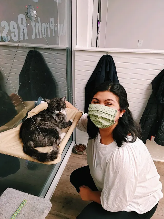 Affordable Animal Care of Utah — customer photo 5