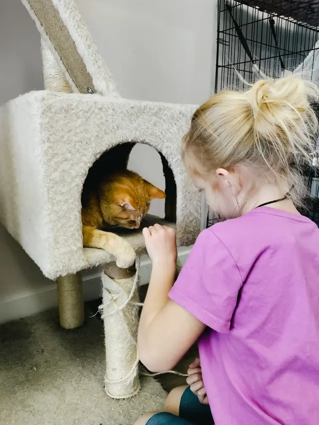 Affordable Animal Care of Utah — customer photo 6