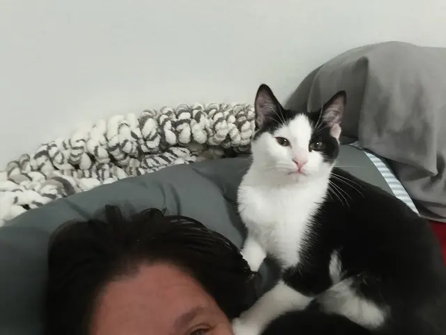 Humane Society of Utah — customer photo 10