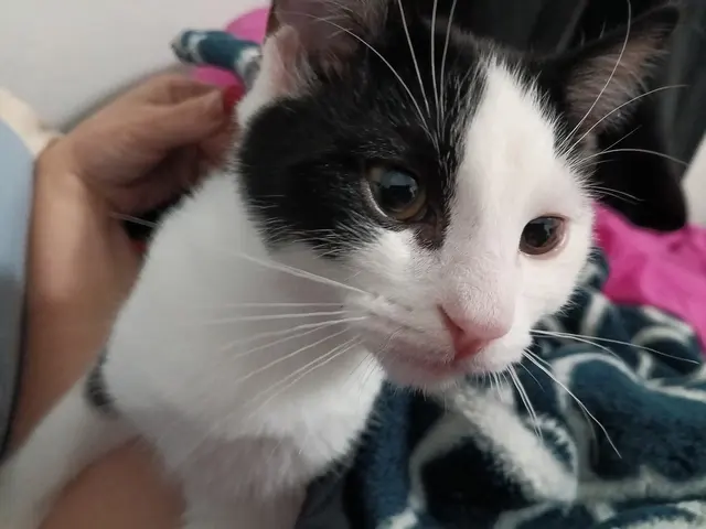 Humane Society of Utah — customer photo 11