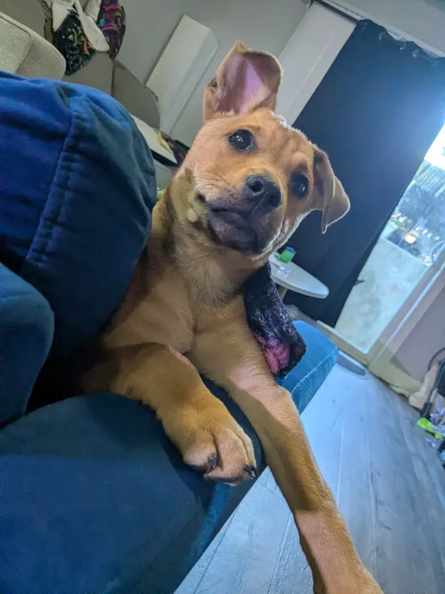 Humane Society of Utah — customer photo 6