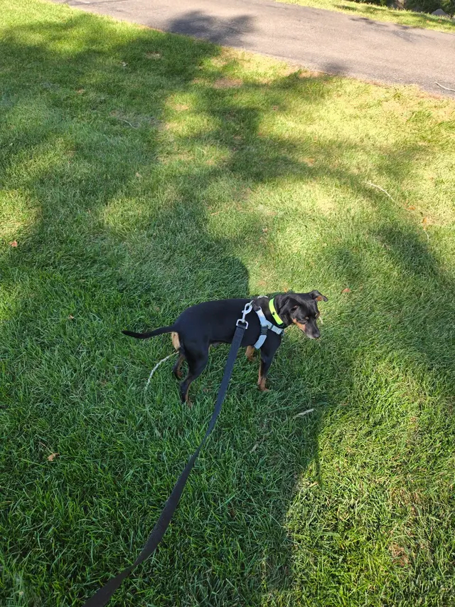 Humane Society of Utah — customer photo 7