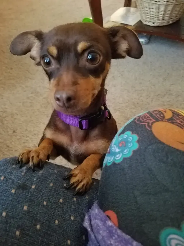 Humane Society of Utah — customer photo 9