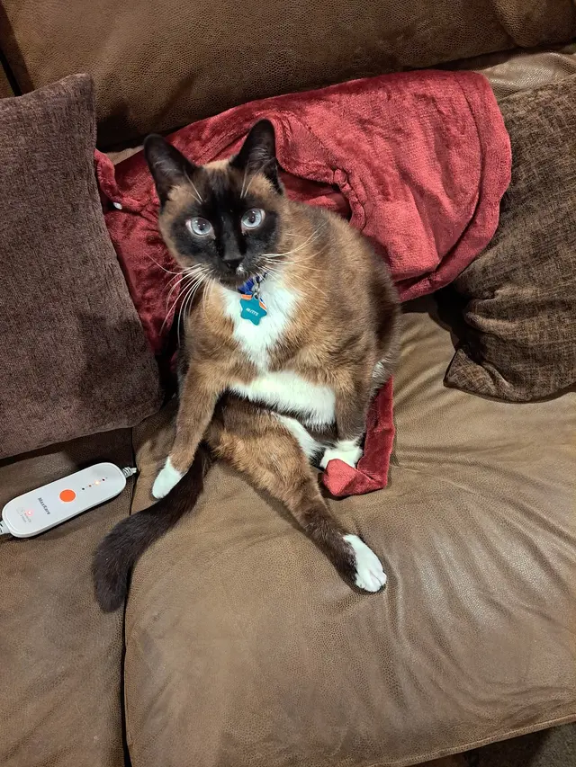 Hunter Animal Hospital — customer photo 7