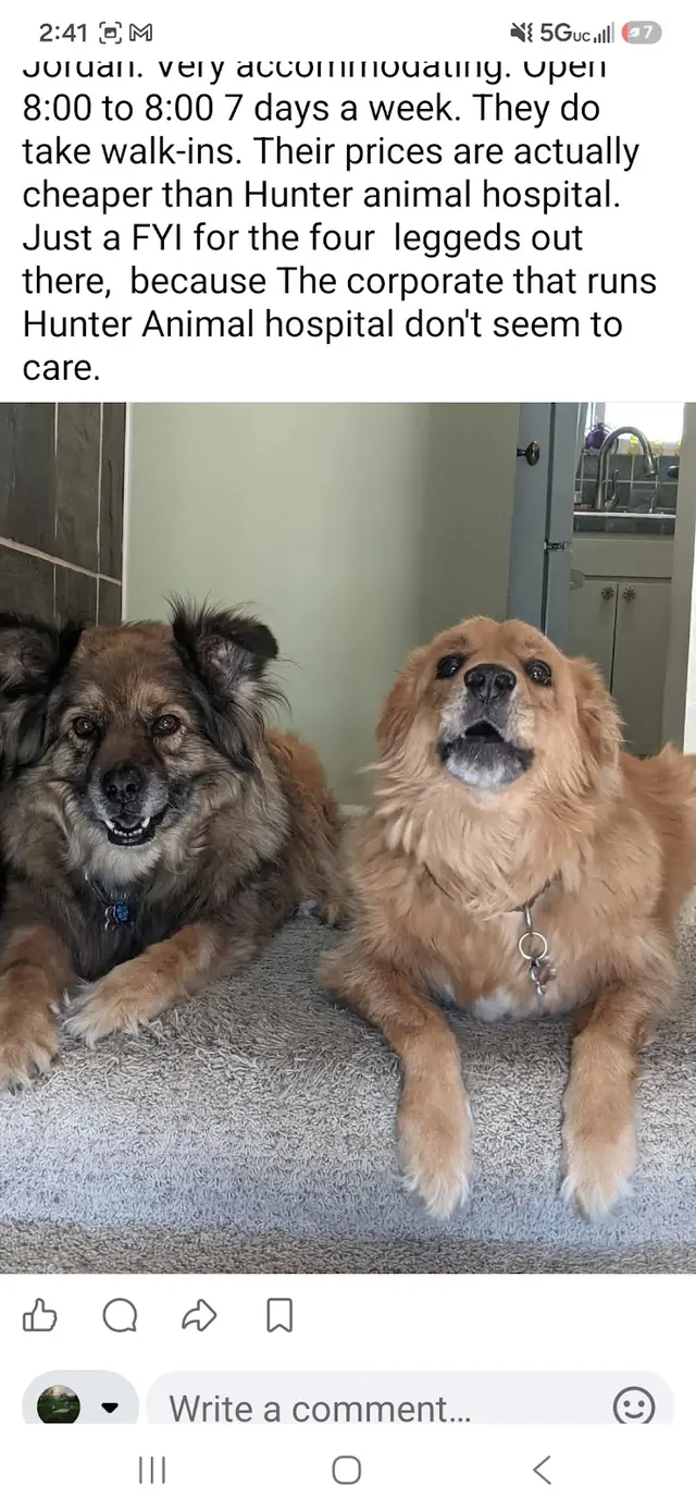 Hunter Animal Hospital — customer photo 6